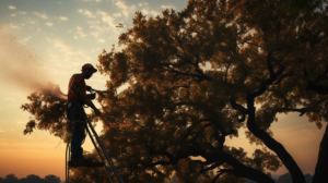 arborist tree pruning on a ladder